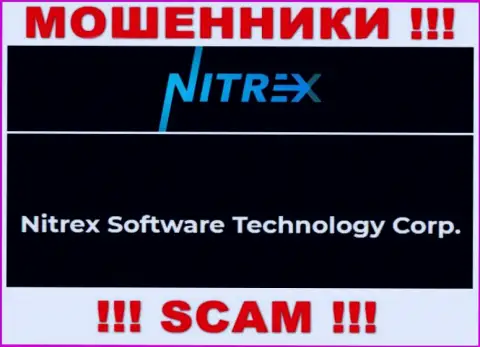 Сомнительная компания Nitrex Software Technology Corp в собственности такой же скользкой конторе Нитрекс Софтваре Технолоджи Корп
