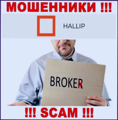 Сфера деятельности internet-мошенников Hallip - это Broker, но имейте ввиду это обман !