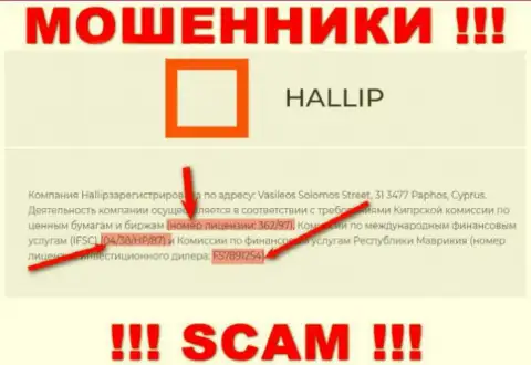 Не взаимодействуйте с мошенниками Hallip Com - существованием лицензионного документа, на web-портале, завлекают доверчивых людей