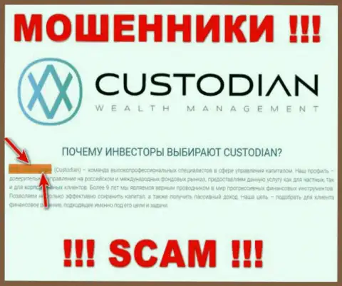 Юридическим лицом, управляющим internet-махинаторами Custodian, является ООО Кастодиан