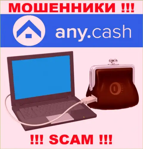 Any Cash - МОШЕННИКИ, вид деятельности которых - Виртуальный онлайн кошелек