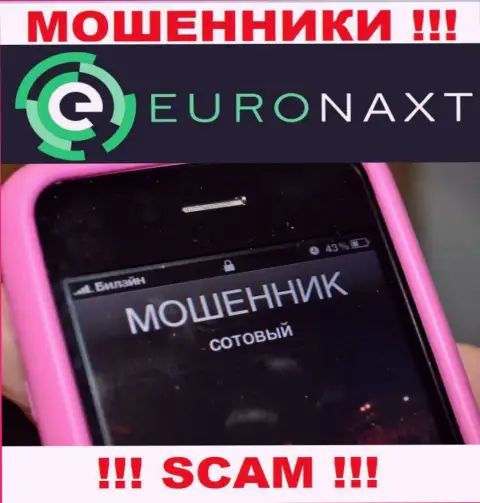 Вас хотят развести на деньги, EuroNax в поисках очередных доверчивых людей