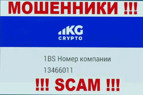 Регистрационный номер компании CryptoKG, в которую деньги лучше не вкладывать: 13466011
