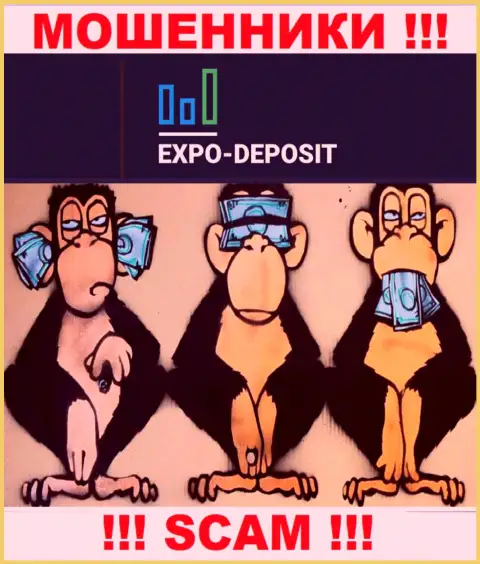 Работа с конторой Expo Depo Com приносит только лишь проблемы - будьте очень бдительны, у интернет мошенников нет регулятора