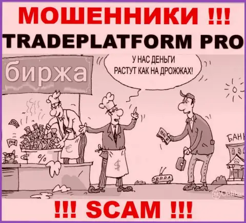 Заработка с организацией Trade Platform Pro Вы не получите - слишком опасно вводить дополнительные деньги