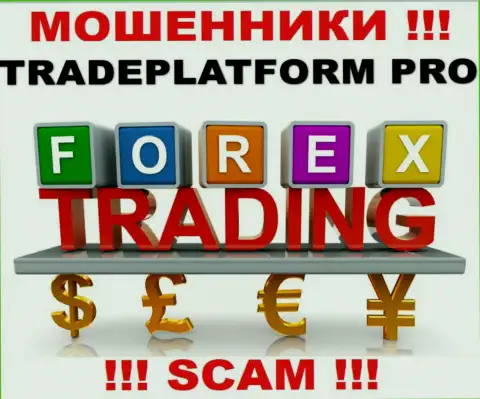 Не стоит верить, что работа TradePlatform Pro в сфере Forex законная