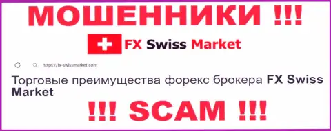 Сфера деятельности FX SwissMarket: FOREX - хороший доход для интернет-мошенников