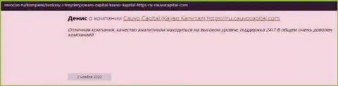 Компания Cauvo Capital описана в отзыве на web-сайте revocon ru