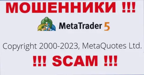 Юр лицом МТ 5 считается - MetaQuotes Ltd