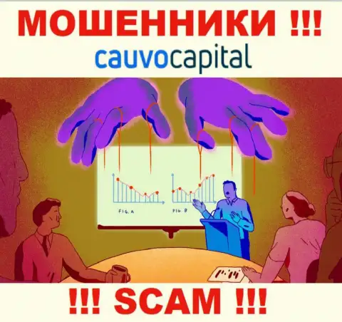 Не нужно соглашаться работать с internet мошенниками Cauvo Capital, прикарманят денежные активы