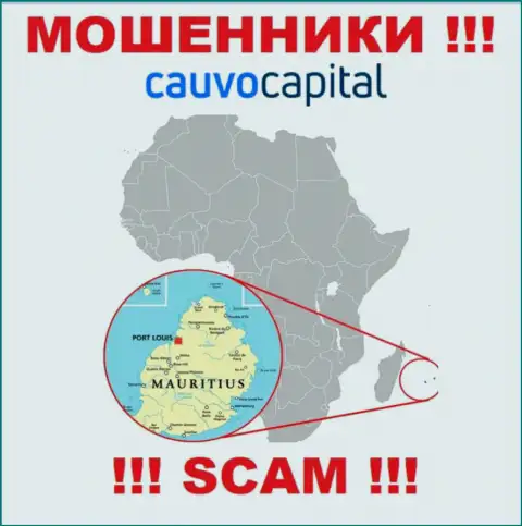 Организация Cauvo Capital прикарманивает денежные активы лохов, зарегистрировавшись в оффшорной зоне - Mauritius