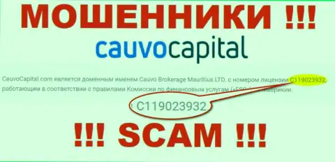Мошенники CauvoCapital искусно оставляют без денег доверчивых клиентов, хоть и указали лицензию на портале