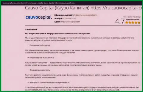 Статья об условиях дилинговой организации CauvoCapital Com на веб-портале revocon ru