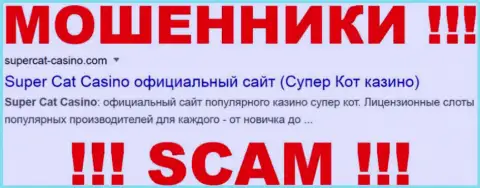 SuperCat-Casino Com - это МОШЕННИКИ !!! SCAM !!!